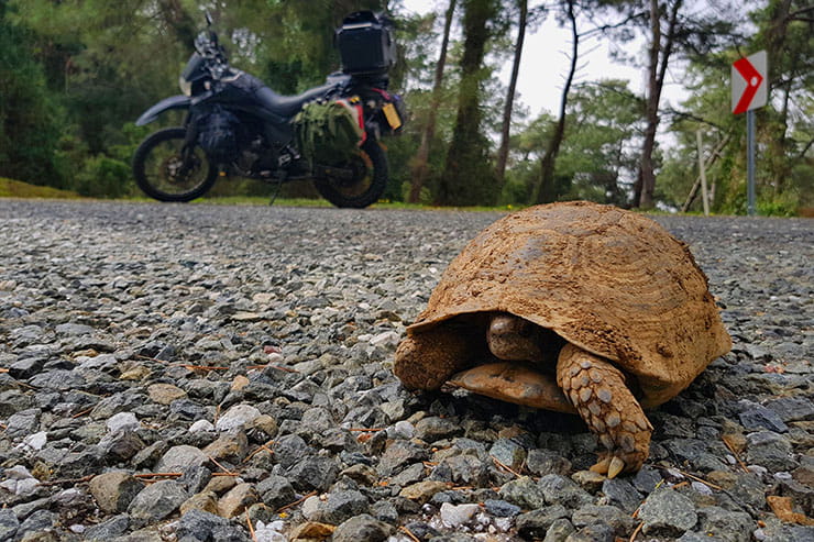 Touring Turkey. A guide to one of the world’s best biking countries.